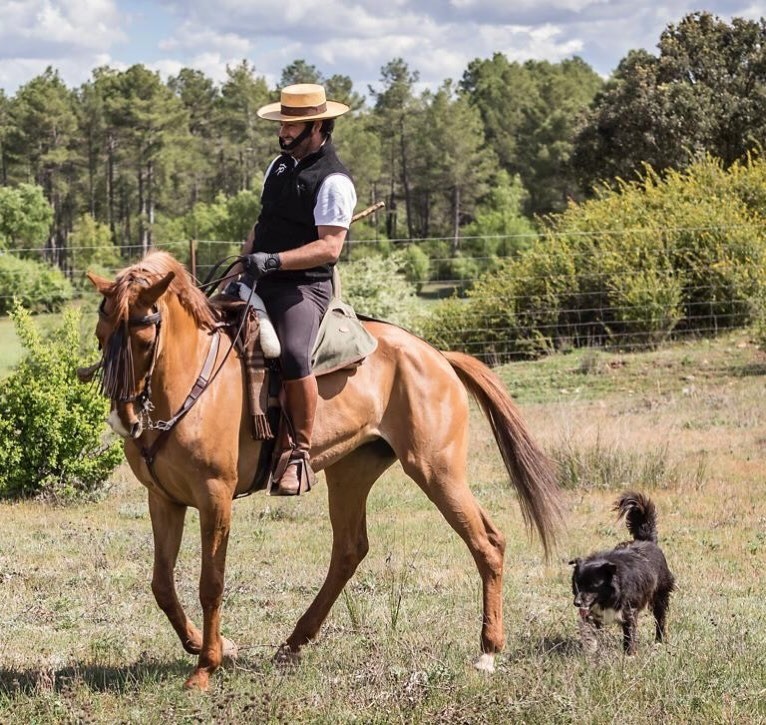 L'élevage de bétail de Cuenca de Pedro Miota fait ses débuts avec une corrida hachée à San Julián : « C'est un rêve devenu réalité »