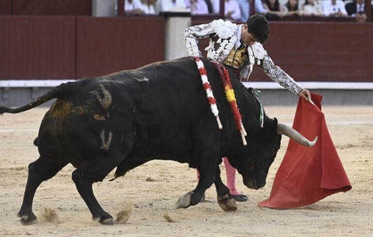 Le goût de Jarocho se démarque chez Pedraza