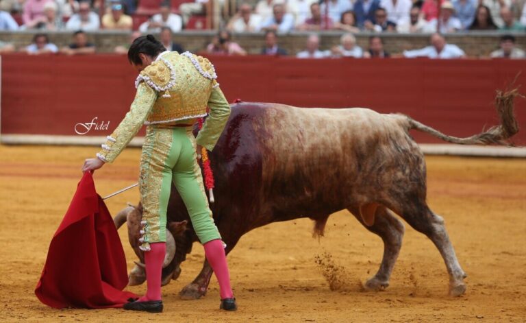 Ortega et Aguado profitent du luxe de Domingo Hernández à Cordoue