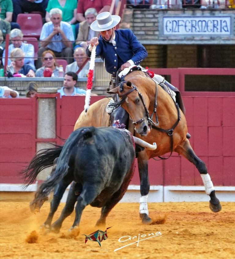 Sebastián Fernández ouvre la grande porte de l'arène Los Califas