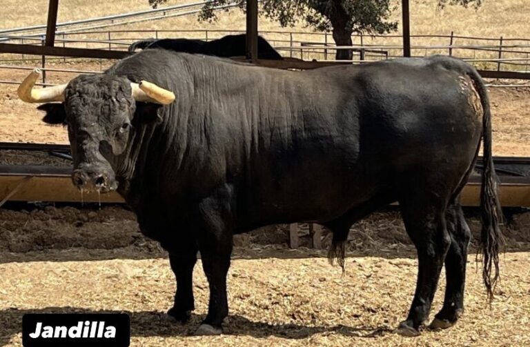 Istres se prépare à honorer César Rincón