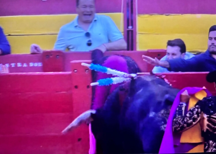 Andrés Revuelta, contusions au genou, à la cheville, au poignet et à la main