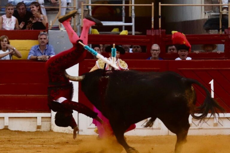 Fernando Sánchez, un vilain saut périlleux à Alicante