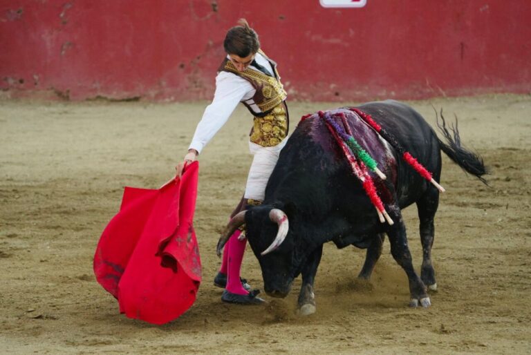 García-Torres et Álvaro Rojo, oreilles de la corrida d'El Tiemblo