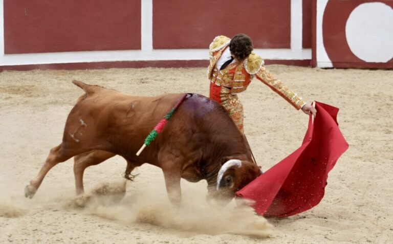 Iñigo Norte se démarque à Trucios avec une corrida sérieuse de José Cruz
