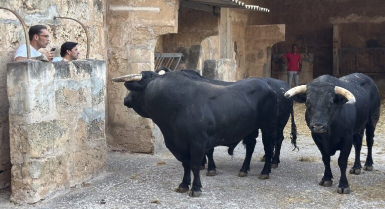 Diego Ventura visite le Colisée des Baléares: "J'espère que ce sera une bonne soirée et que nous en profiterons tous beaucoup"


