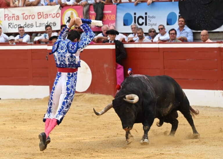 Daniel Luque, un torero complet


