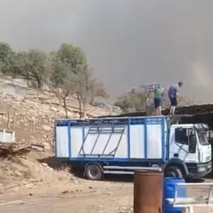 L'exploitation d'élevage Hermanos Infantes évacuée à cause de l'incendie de la Vall d'Uixó