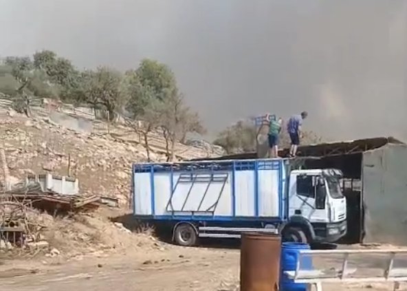 L'exploitation d'élevage Hermanos Infantes évacuée à cause de l'incendie de la Vall d'Uixó


