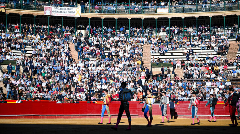 La Députation Forale programme diverses activités complémentaires à la Foire de Juillet sur la Place de Valencia