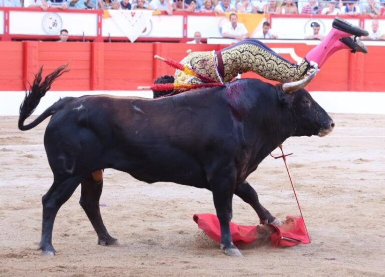 La boîte refuse une oreille bien méritée à David de Miranda, de retour sur le ring après avoir été retourné par le troisième