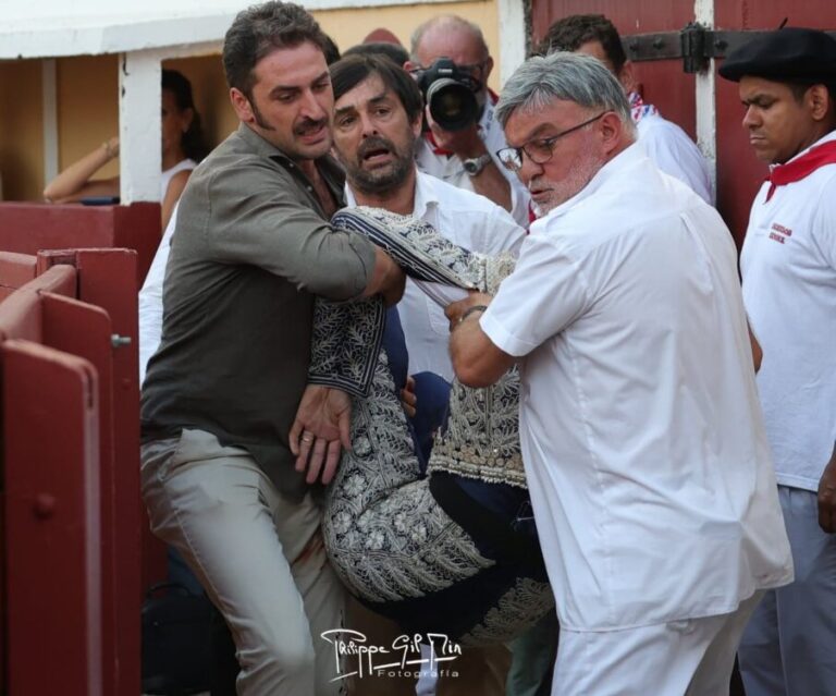 Morenito d'Arles, opéré pendant deux heures à la Clinique Belharra : « Il a trois encornures étendues, une qui traverse la jambe gauche, une autre à droite et une autre aux testicules »
