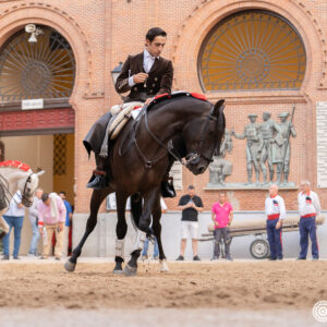 Adrián Venegas et un événement pour toute la famille ce mercredi à l'arène Las Ventas