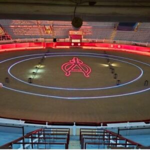Bayona transforme sa corrida de promesses en « Corrida des Lumières »