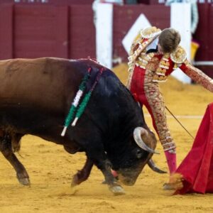 Borja Jiménez, une de ses tâches de la saison à Malagueta