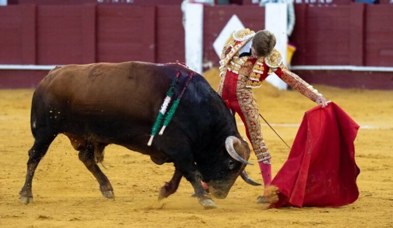 Borja Jiménez, une de ses tâches de la saison à Malagueta


