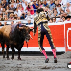Corrida processionnelle : à la recherche du grand événement