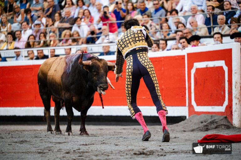Corrida processionnelle : à la recherche du grand événement