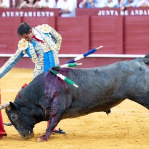 Fortes remporte le Capote de Paseo du meilleur travail à la foire de Malaga