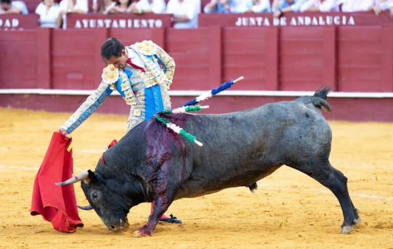 Fortes remporte le Capote de Paseo du meilleur travail à la foire de Malaga


