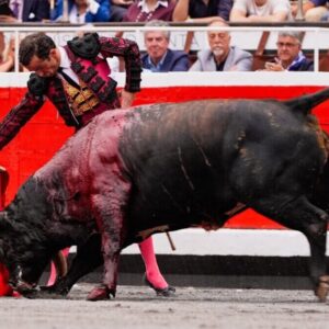 L'honnêteté de Castaño dans une douce douleur à Bilbao
