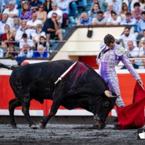 Luque, David de Miranda, Román et Marco Pérez, principaux gagnants à Bilbao