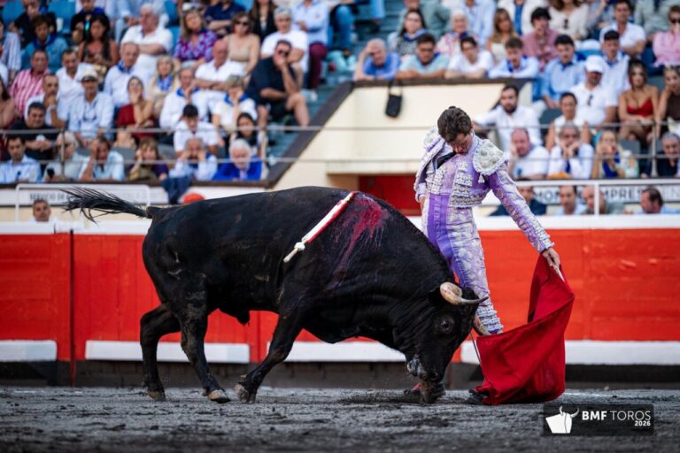Luque, David de Miranda, Román et Marco Pérez, principaux gagnants à Bilbao