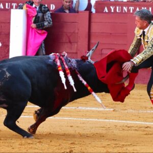 Manuel Escribano, encornure à la jambe droite avec trajectoire ascendante de 15 cm dans le muscle tibial