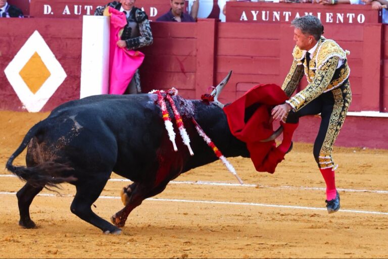 Manuel Escribano, encornure à la jambe droite avec trajectoire ascendante de 15 cm dans le muscle tibial


