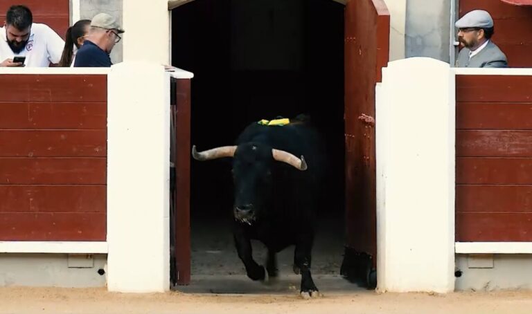 "Où le taureau est une légende et les fans sont l'âme de notre fête" : tel est le spot de la foire d'Albacete 


