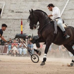 Rencontre massive d'Adrián Venegas à Las Ventas
