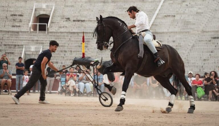 Rencontre massive d'Adrián Venegas à Las Ventas



