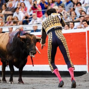 Roca Rey va tuer sans béquille ! à Bilbao