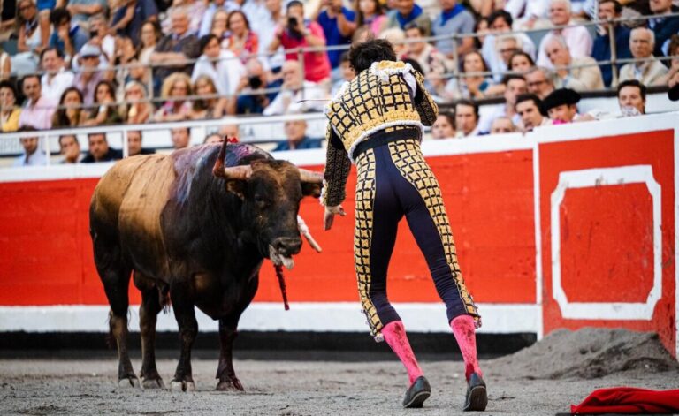 Roca Rey va tuer sans béquille ! à Bilbao


