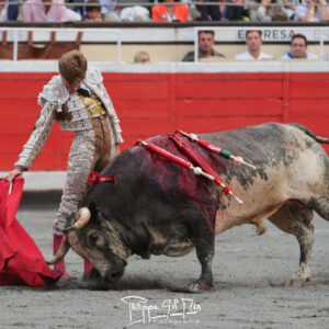 Tapaboca, de La Quinta, aura une tuile dans l'arène Vista Alegre de Bilbao