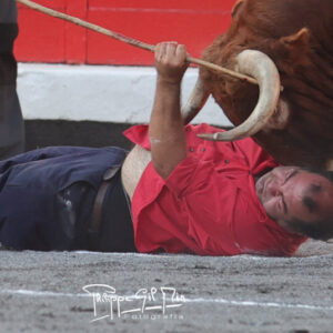 Un monosabio encorne le quatrième taureau de Domingo Hernández à Bilbao