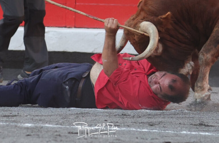 Un monosabio encorne le quatrième taureau de Domingo Hernández à Bilbao


