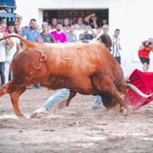 Nek Romero surprend dans les rues de Burriana en combattant un sérieux taureau de Peñajara