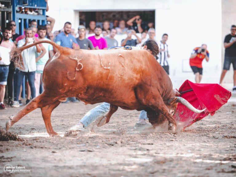 Nek Romero surprend dans les rues de Burriana en combattant un sérieux taureau de Peñajara