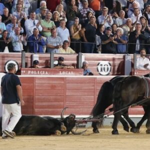 Le joueur d'orgue de Fuente Ymbro et le picador Cristian Romero remportent les prix du concours d'Albacete