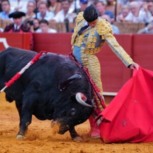 Borja Domecq : « Il y a des jours qui transcendent la corrida et cette deuxième Puerta del Príncipe de Aguado en faisait partie »
