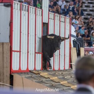 Albacete ouvre sa grande foire avec un déroulement nocturne