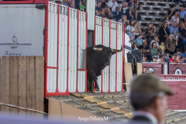 Albacete ouvre sa grande foire avec un déroulement nocturne


