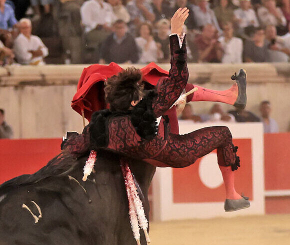 Baise violente et dramatique d'une Roca Rey héroïque et meurtrie, blessée au menton



