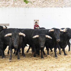 Ceux de Los Espartales ont été appelés à clôturer la foire de Murcie ce dimanche