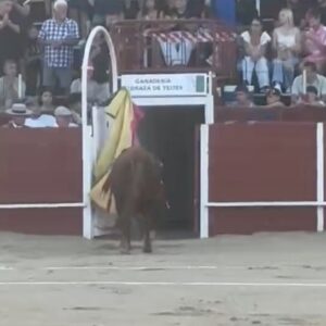 Cristian González pardonne à Resistidor, de Pedraza de Yeltes, et triomphe avec un grand Vilau