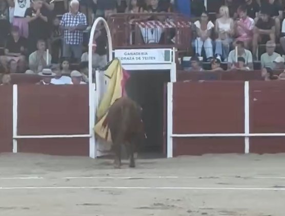 Cristian González pardonne à Resistidor, de Pedraza de Yeltes, et triomphe avec un grand Vilau


