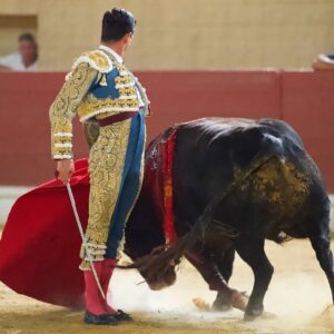 David Galván : cours avant le taureau et avant la vie