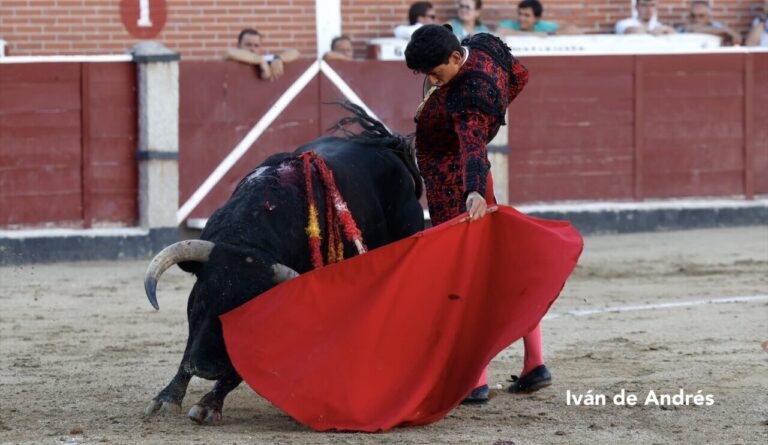 Emiliano Osornio, Jorge Hurtado et Olga Casado marquent en clôture de Sanse


