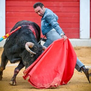 Enrique Ponce réapparaîtra au festival hommage à David de Miranda à Trigueros
